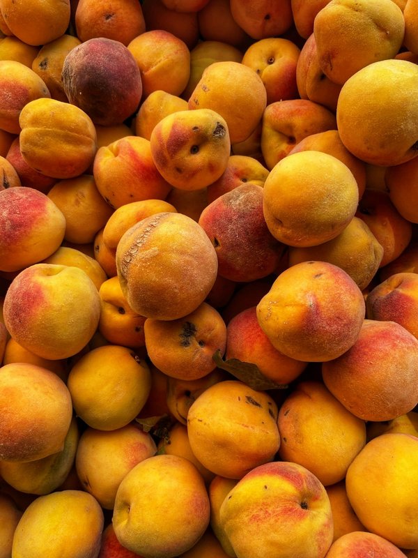 Quels sont les conseils pour une expédition de pêche en haute mer en Norvège?